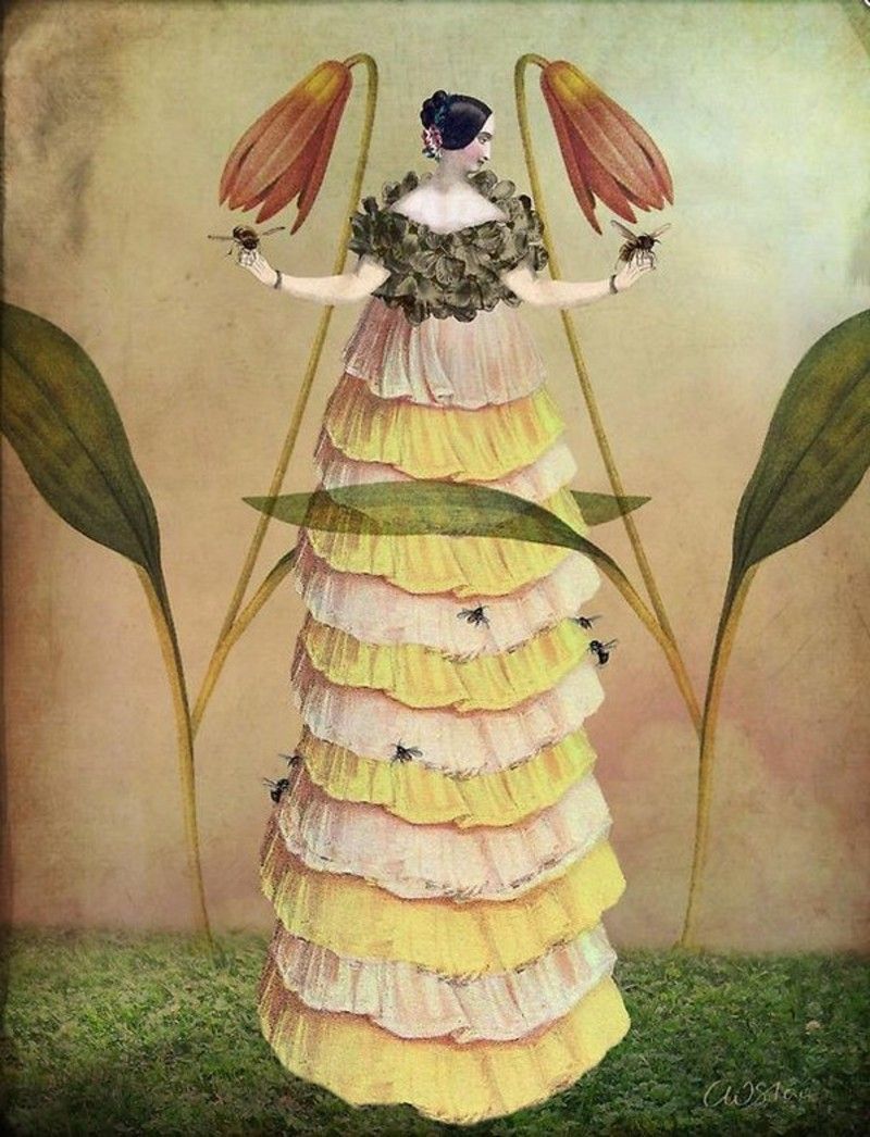 Artiste Catrin Welz Stein